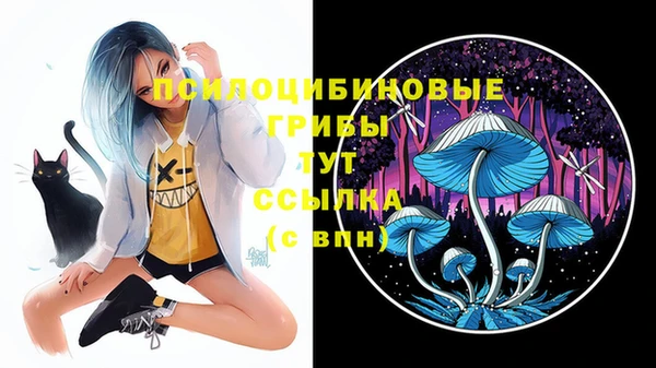 дурь Алзамай