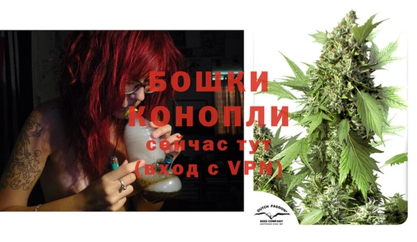 дурь Алзамай
