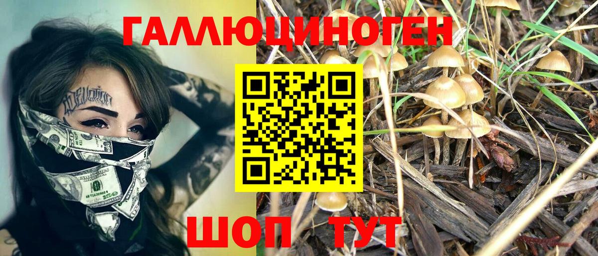 Галлюциногенные грибы MAGIC MUSHROOMS Ипатово